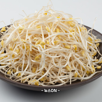 콩나물 무침 맛있게 만드는법