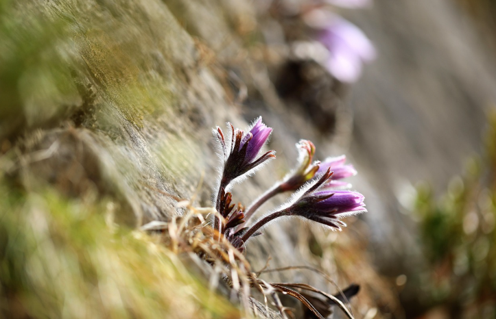 영월 별마로천문대 천문대, 별보기, 체험 사진