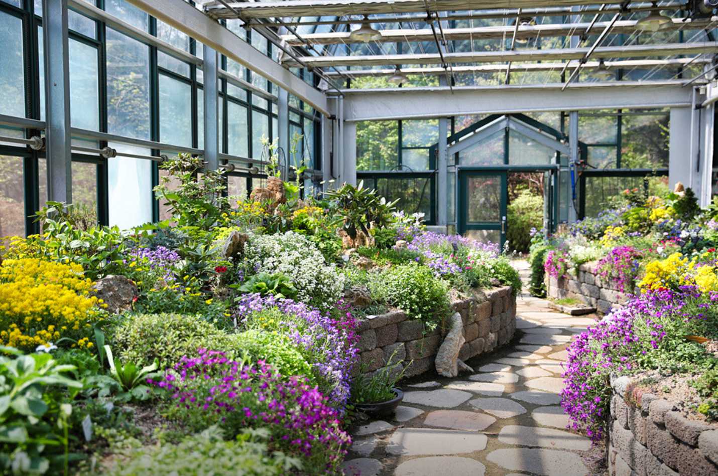 아침고요수목원