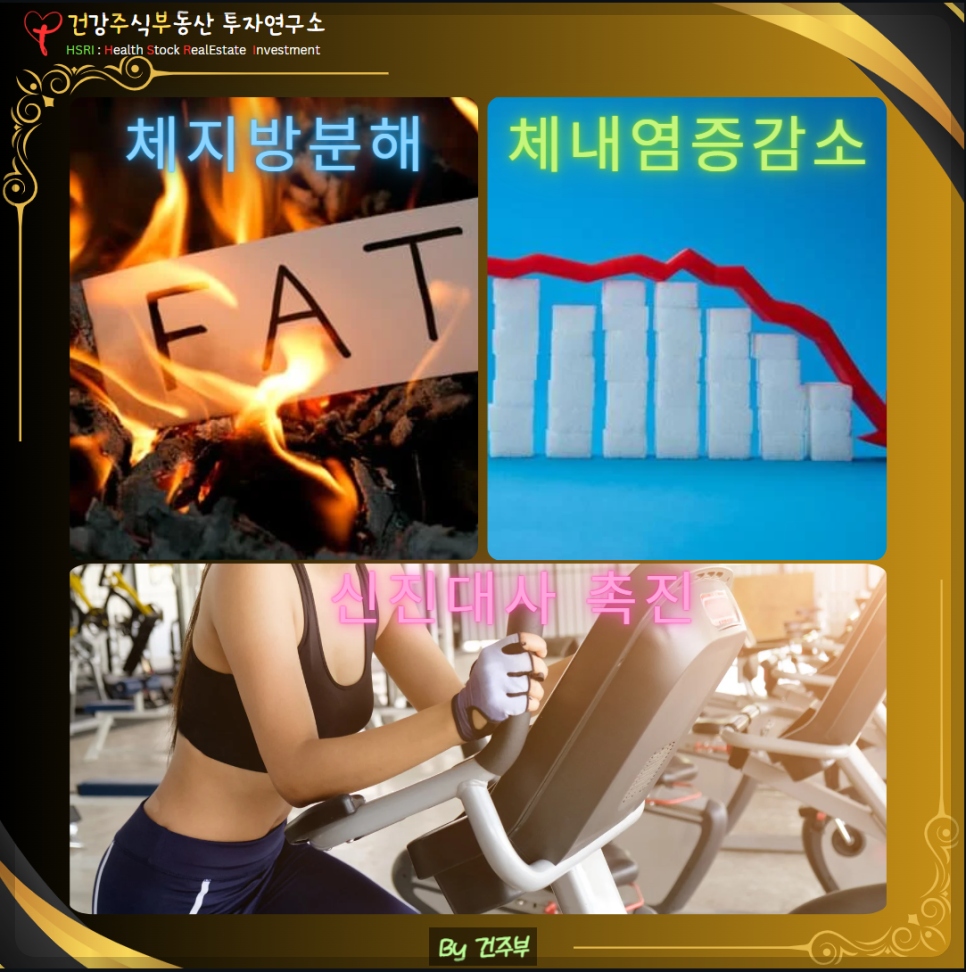 크릴오일은 체지방 분해를 촉진하고 체내 염증을 줄이며 신진대사를 촉진합니다.
(글 그림 : 건주부, 그림 출처 : Canva)