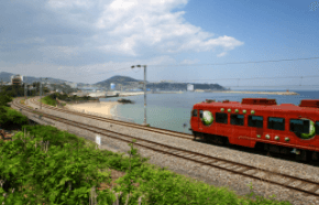 가을 바다 열차 여행 추천