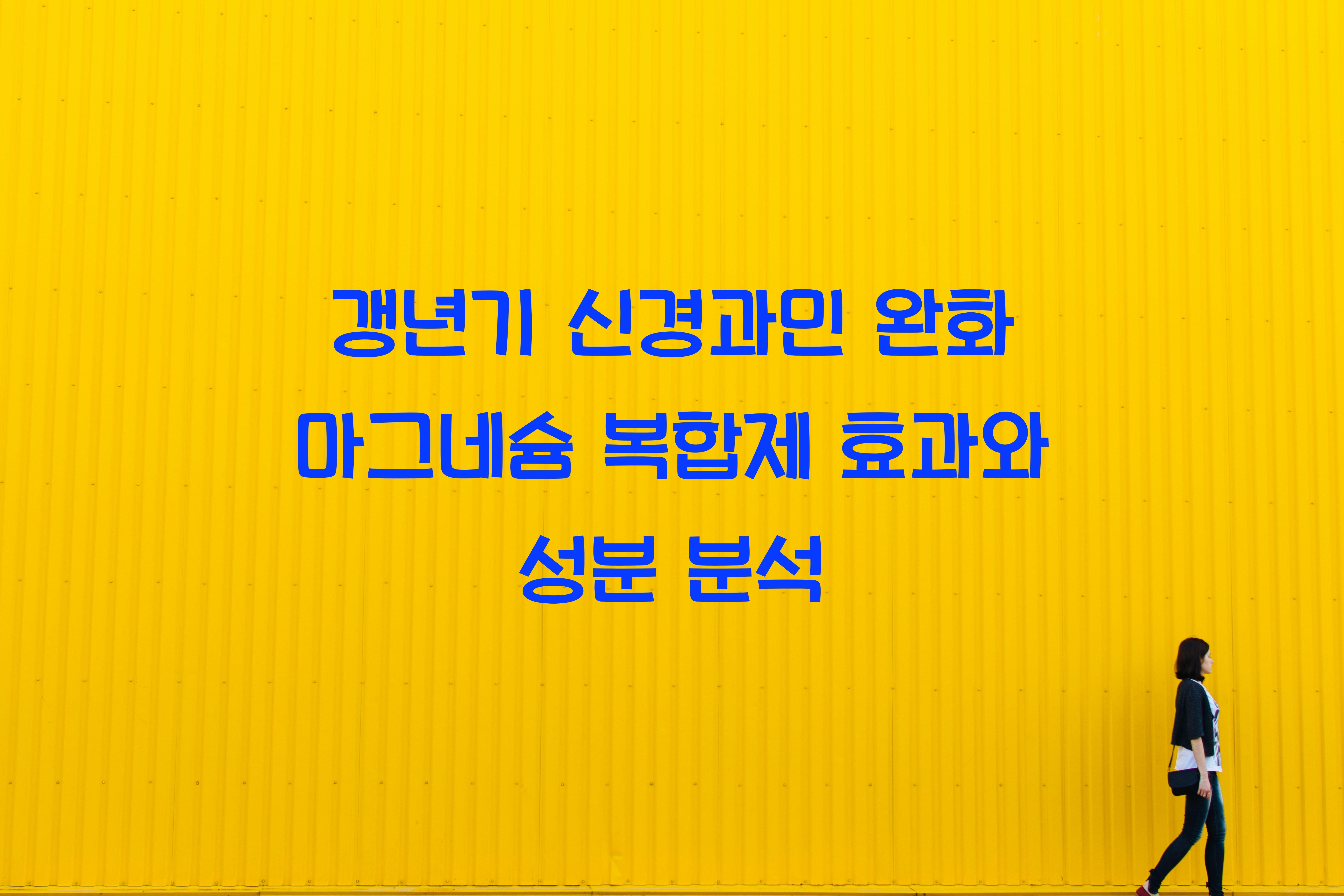 갱년기 신경과민 완화 마그네슘 복합제