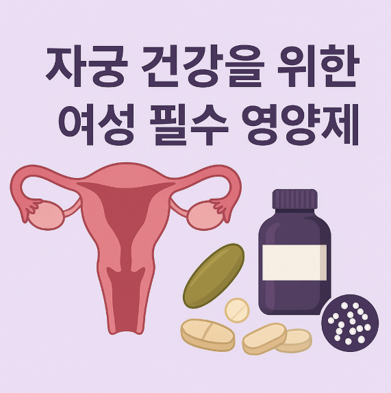 자궁 건강을 위한 여성 필수 영양제 7가지, 생리통·자궁근종 예방에 효과!