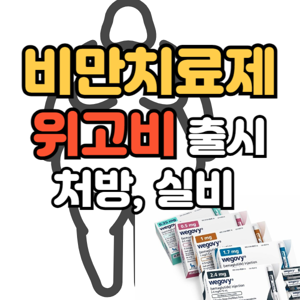 위고비 처방