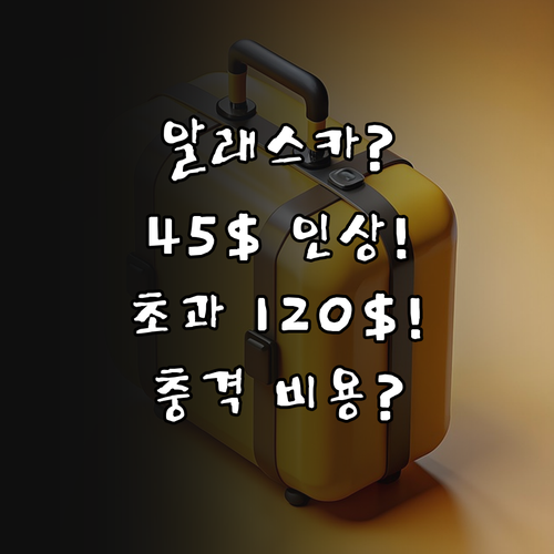 알래스카 항공 위탁수하물 1개 45달..