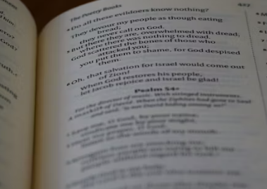 영어 학원 창업에 대하여 알아보기