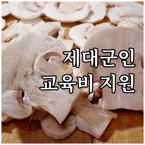 2025 제대군인 교육비 지원, 장학..