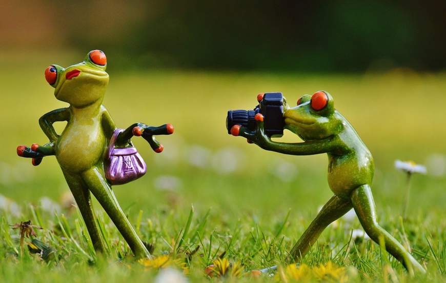 취미: 혼자서도 충분히 몰입 가능한 활동