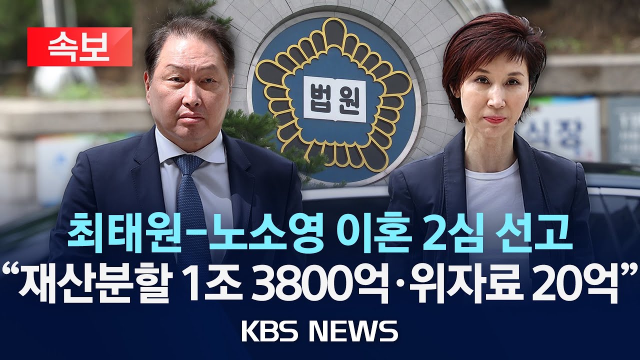 최태원 노소영 이혼 소송 1조 위자료 재산 분할 기여도 1심 2심