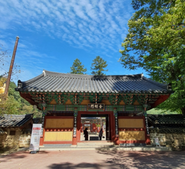 보은 가볼만한곳 베스트10