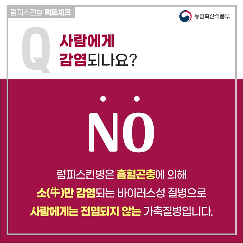 럼피스킨병 팩트체크(자료 농림축산식품부)
