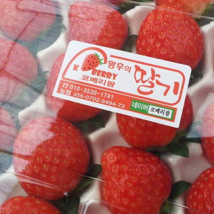 오늘N 2507회 수상한 가족 대구 군위군 딸기 블루베리 주문방법 황후농장 체험문의 왕비로 왔다가 무수리가 된 아내 귀농부부 이야기