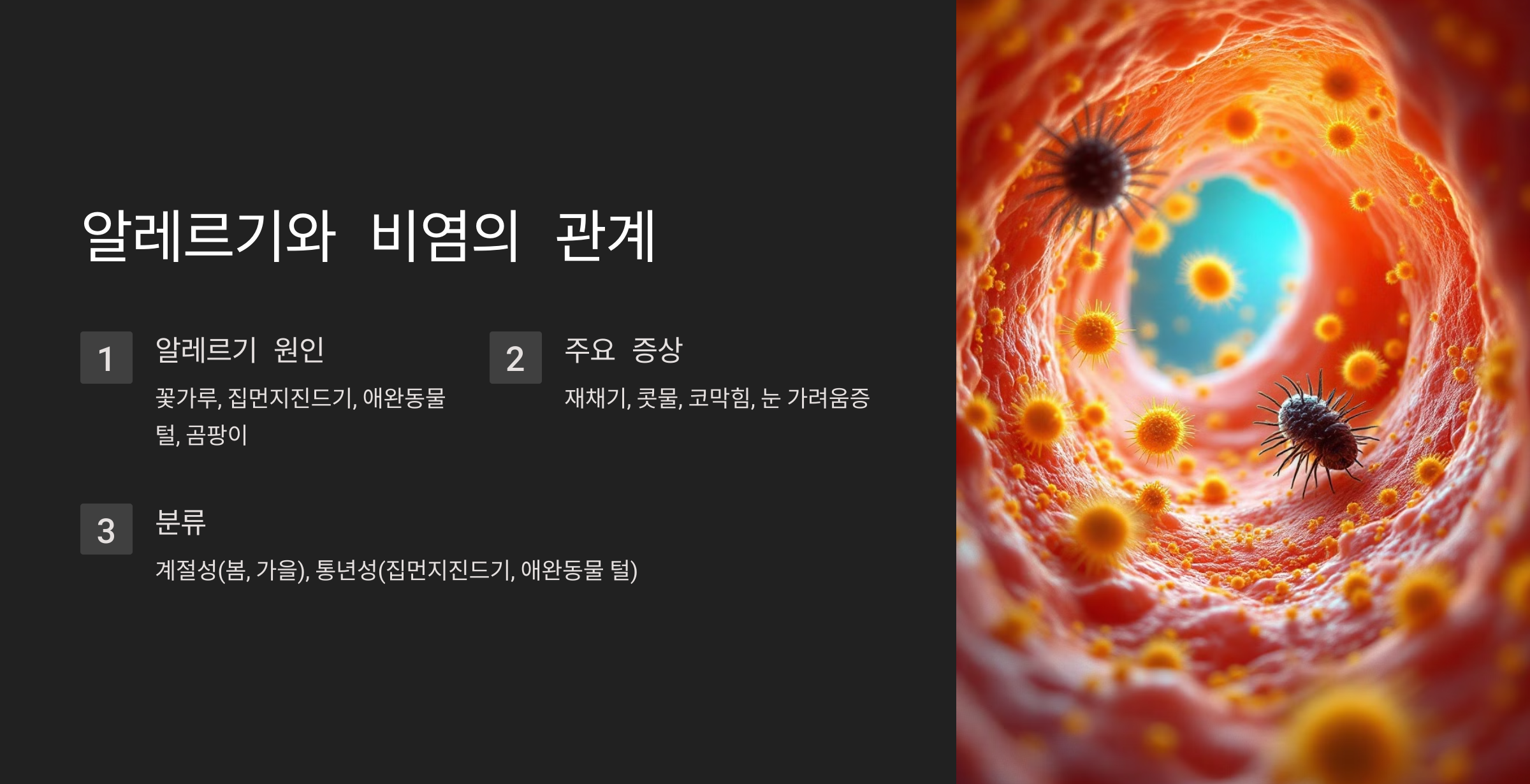 알레르기와 비염의 관계