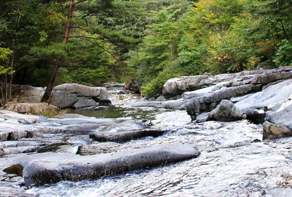국립자연휴양림 예약
