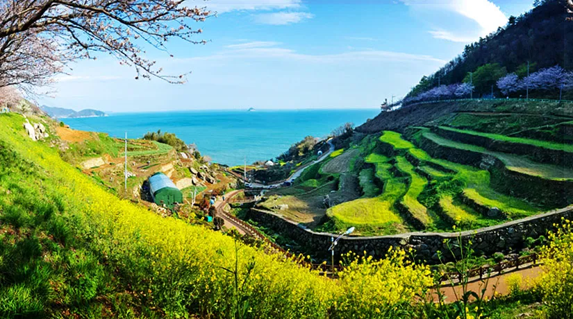 남해 여행코스 추천 여름 바다와 힐링 코스 완전정리_6