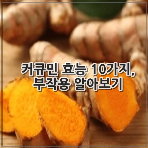 커큐민 효능 10가지, 부작용 알아보기