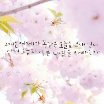 위로와 격려 인사 따뜻한 말 한마디 어르신 맞춤 표현 모음_22