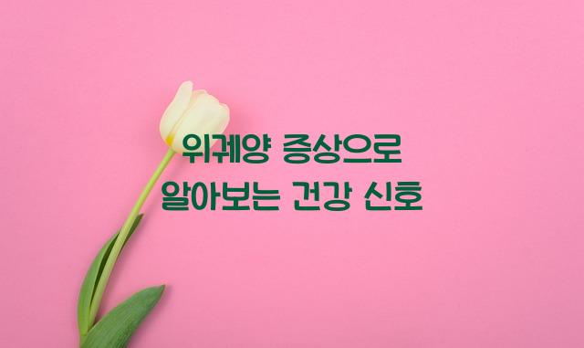 위궤양 증상