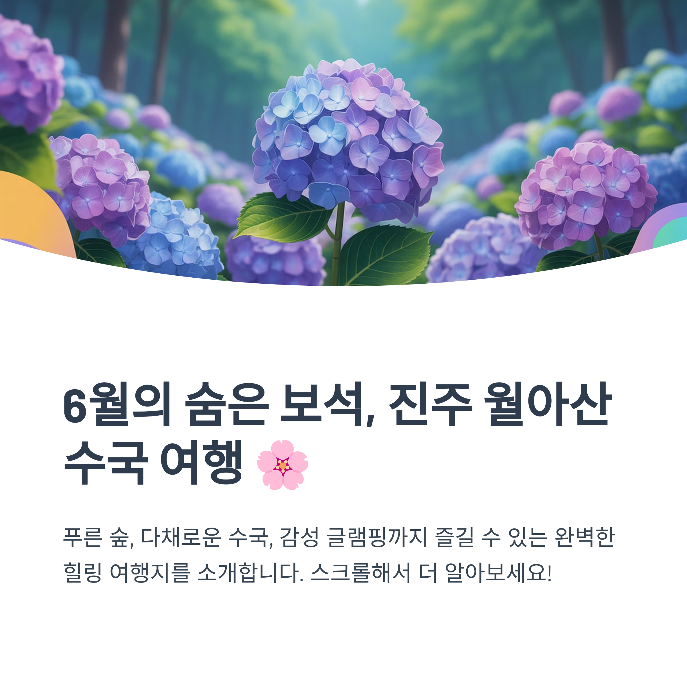 진주 월아산 숲속의진주 수국
