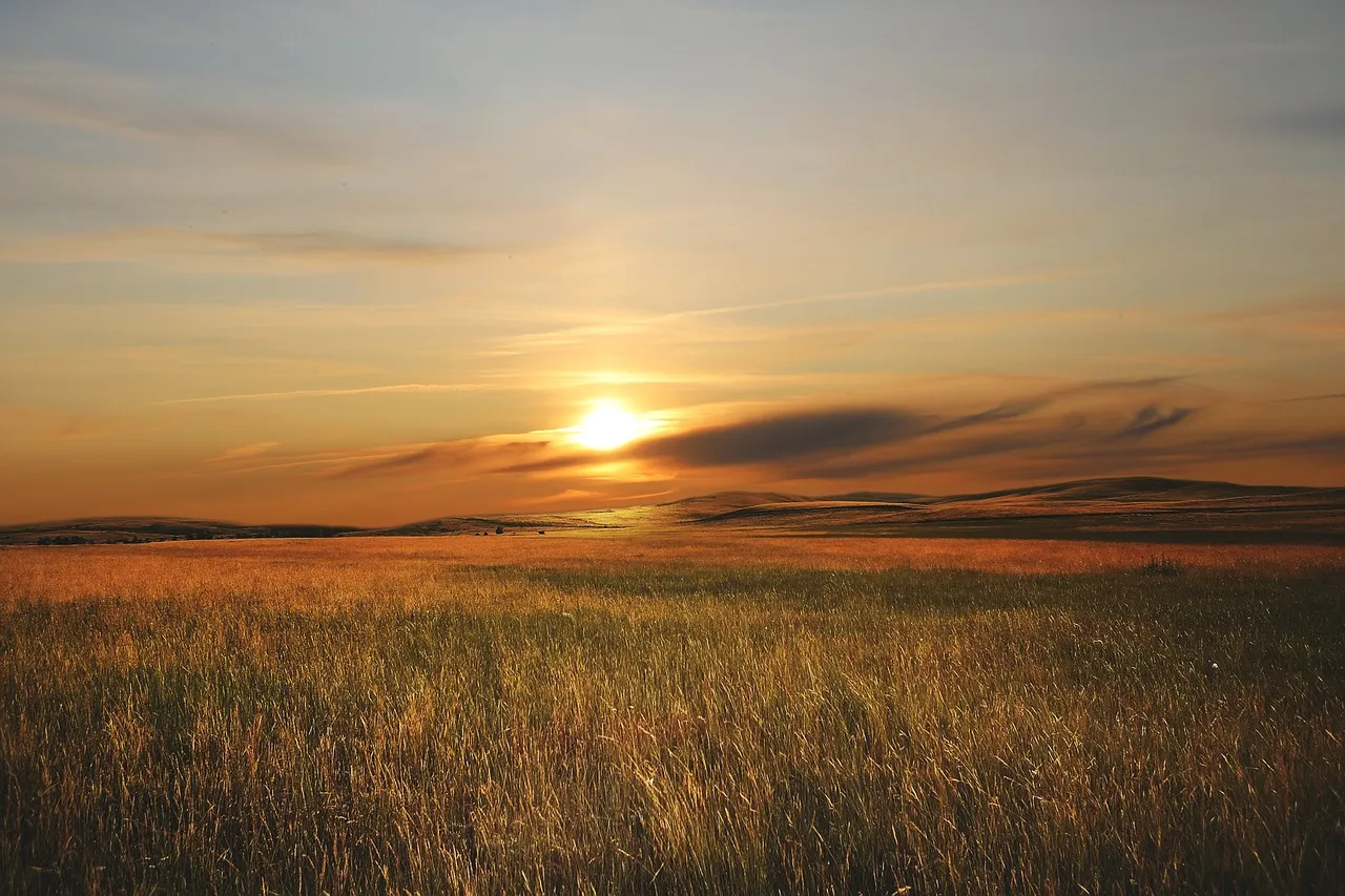 2026년 해돋이 명소