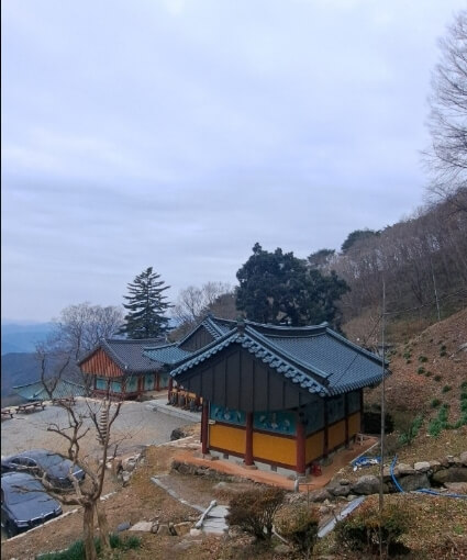 순천 천자암 : 조계산 깊은 숲 속 수행 도량 쌍향수가 전하는 천년의 울림과 수행의 향기