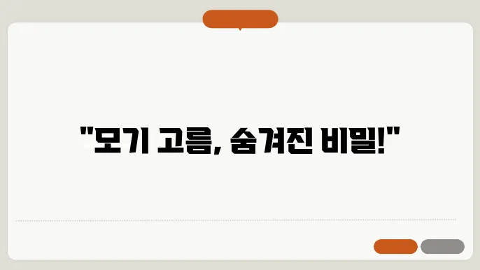 모기 고름