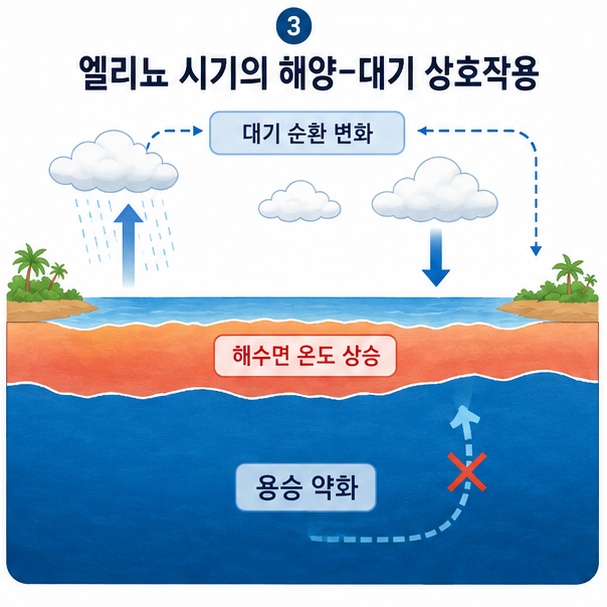 동태평양의 차가운 바닷물 용승이 약해지고 해수면 온도가 높아지면서 대기 순환이 변하는 과정을 보여주는 그림
