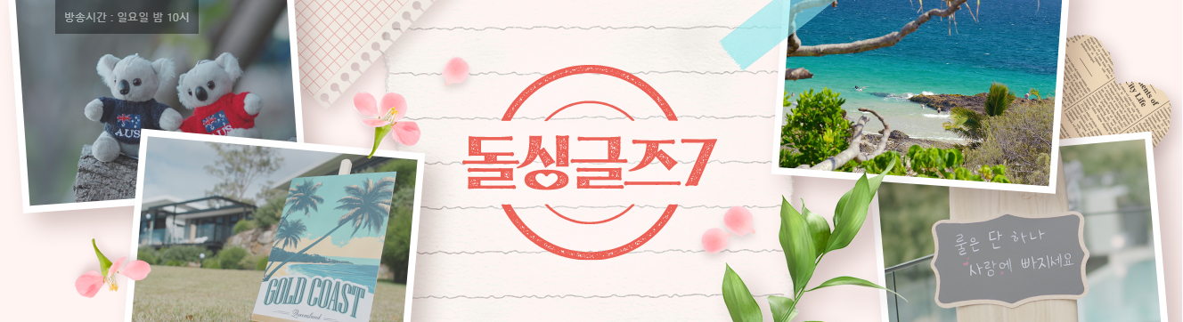 시청률 추이 및 시즌별 비교