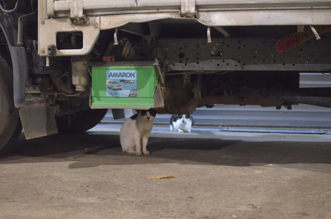 Inspection