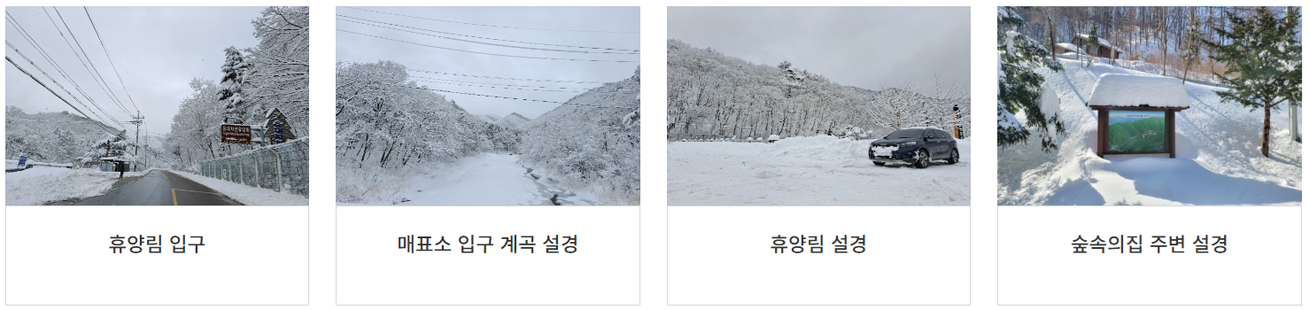 자연휴양림 대기 예약 알림 설정 방법