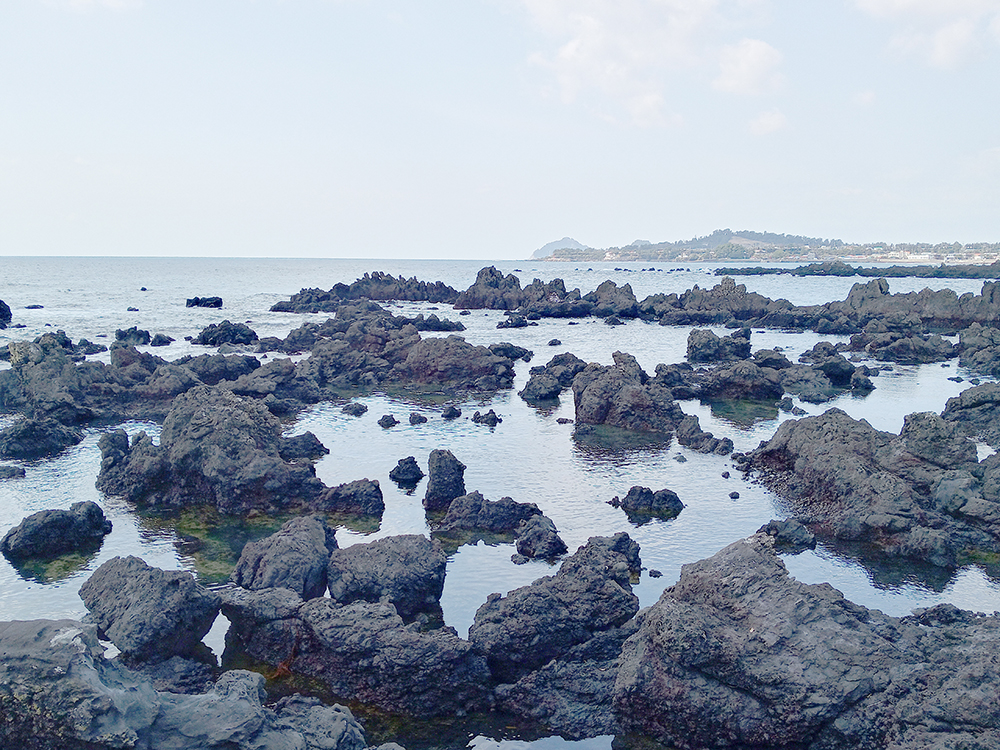 올레5코스&#44; 남원포구에서 쇠소깍까지