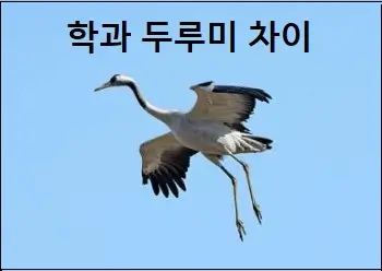 학과 두루미 차이