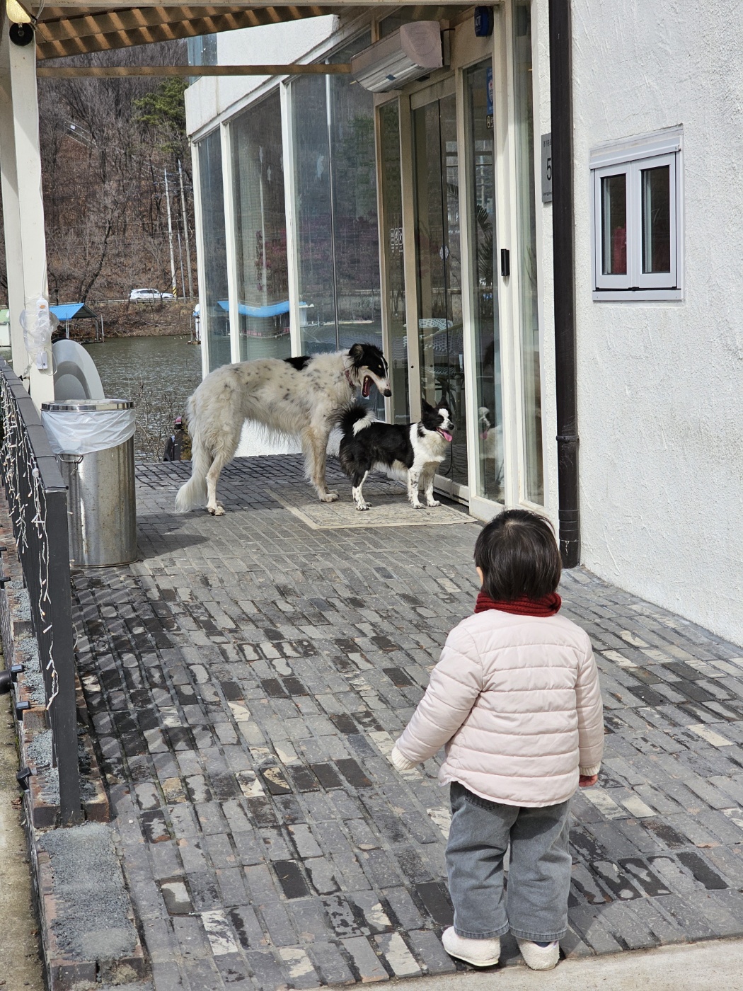 먹고나서 - 다시 뒤뜰