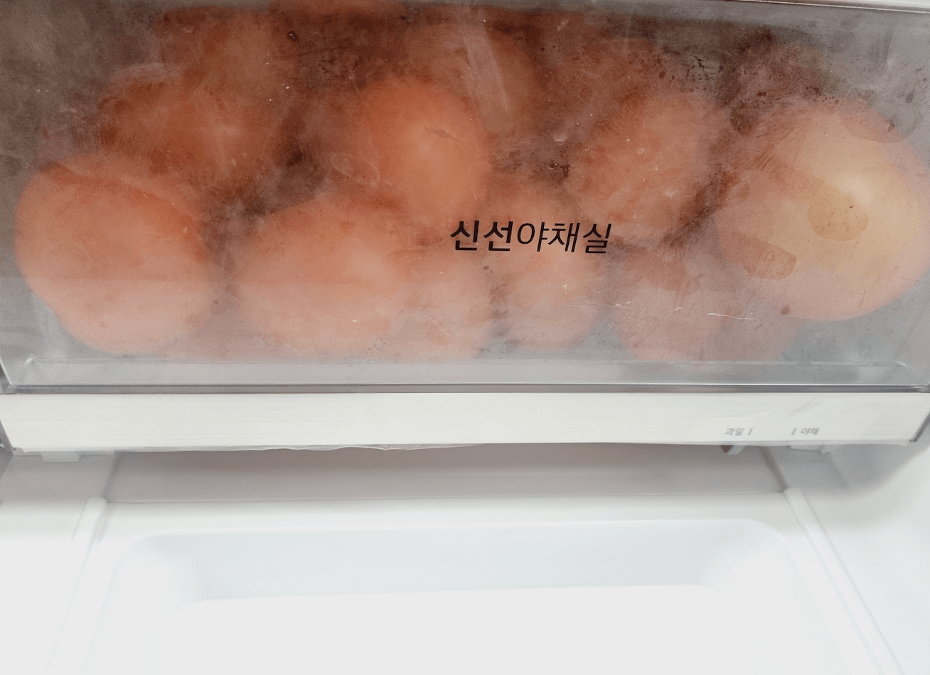 토마토