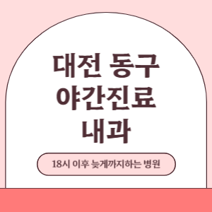 대전 동구 야간진료 늦게까지 하는 내과 병원 (18시 이후 늦게까지하는 병원)