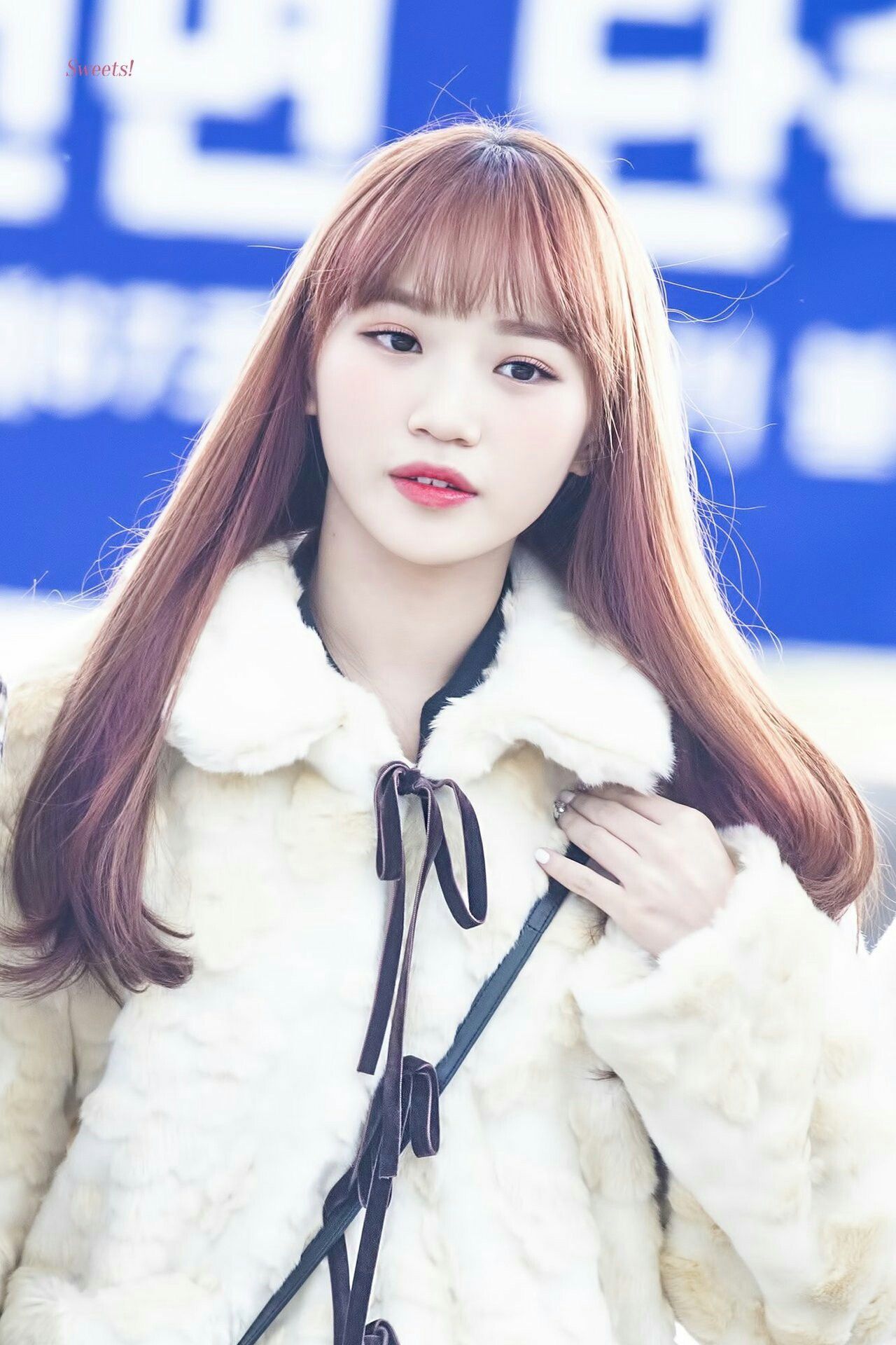 김채원 사진 모음