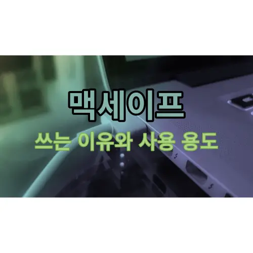 썸네일-사진