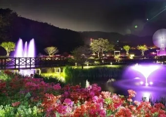 5월 대전 꼭 가볼 만한 여행지 화려한 장미꽃으로 물든 한밭수목원_18