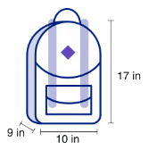유나이티드항공 휴대 수화물