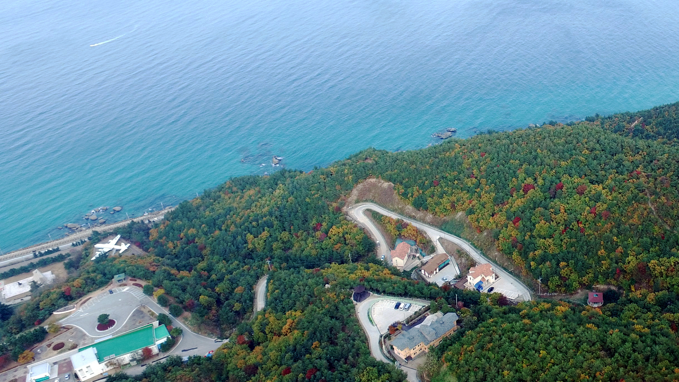 강릉 임해 자연휴양림 주변 막국수 맛집 카페 마트 시장 특산물 강아지 동반 정보