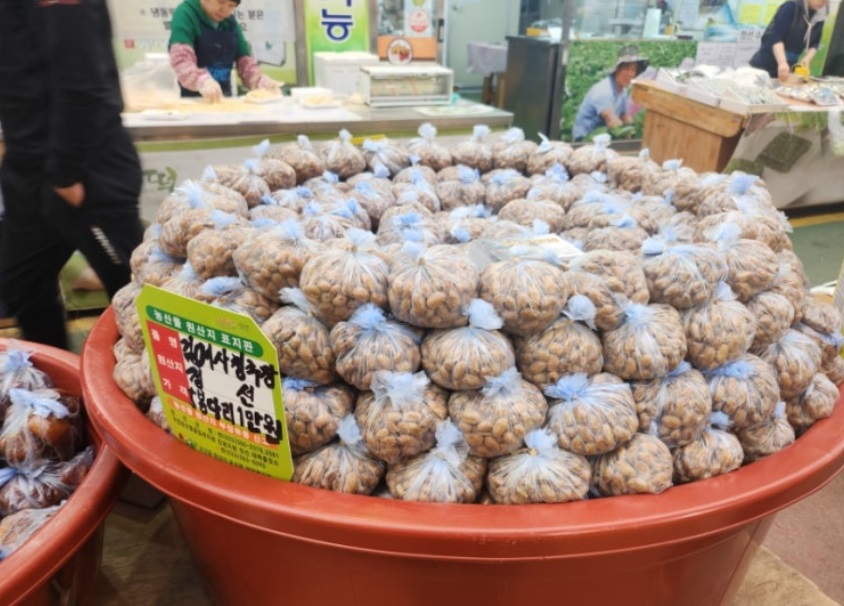 사노라면-강원-정선아리랑시장-정선5일장-김여사청국장-우리아들은엄마바보