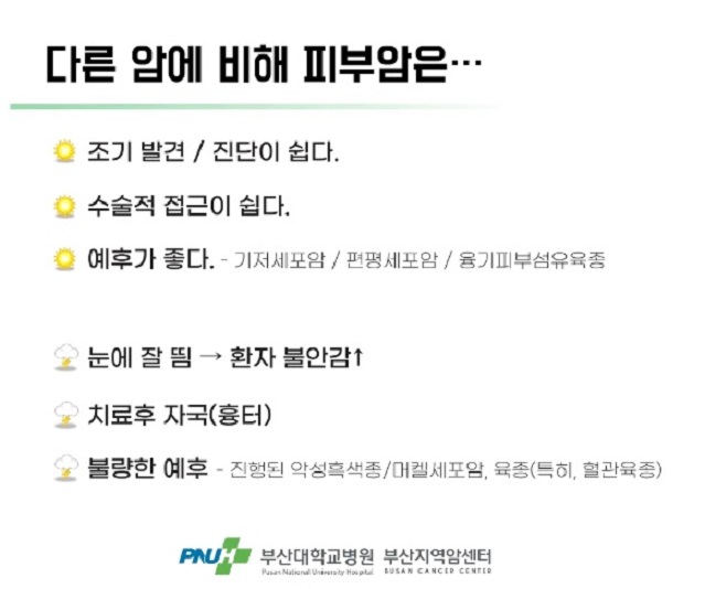 피부암-명의-김훈수-교수