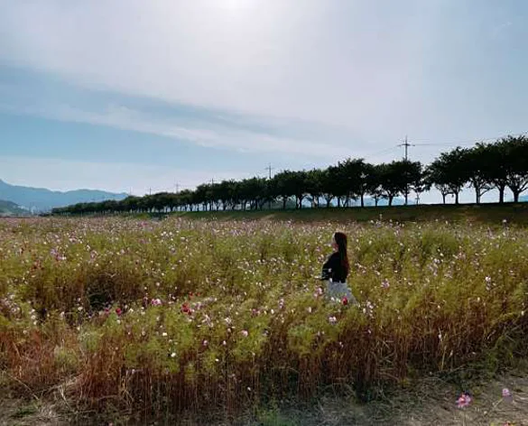 양양송이조각공원
