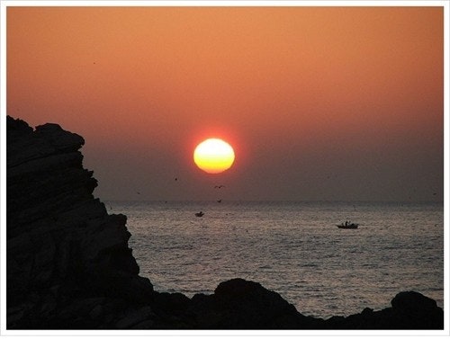 2026년 1월 KTX 일출 기차 예매