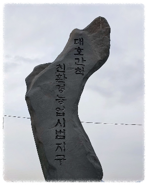 도비도