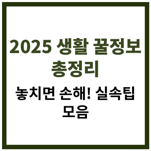2025년에 알아두면 좋은 생활 꿀정보 요약 이미지