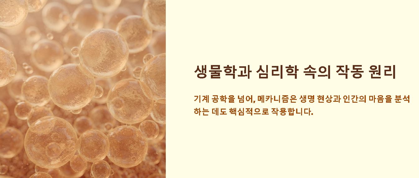 메카니즘의 뜻