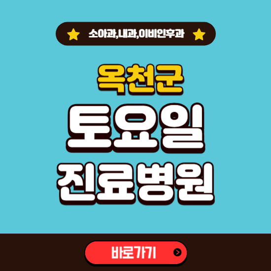 옥천군 토요일 진료 병원 찾기 ❘ 주말 문여는 소아과, 내과, 이비인후과 리스트