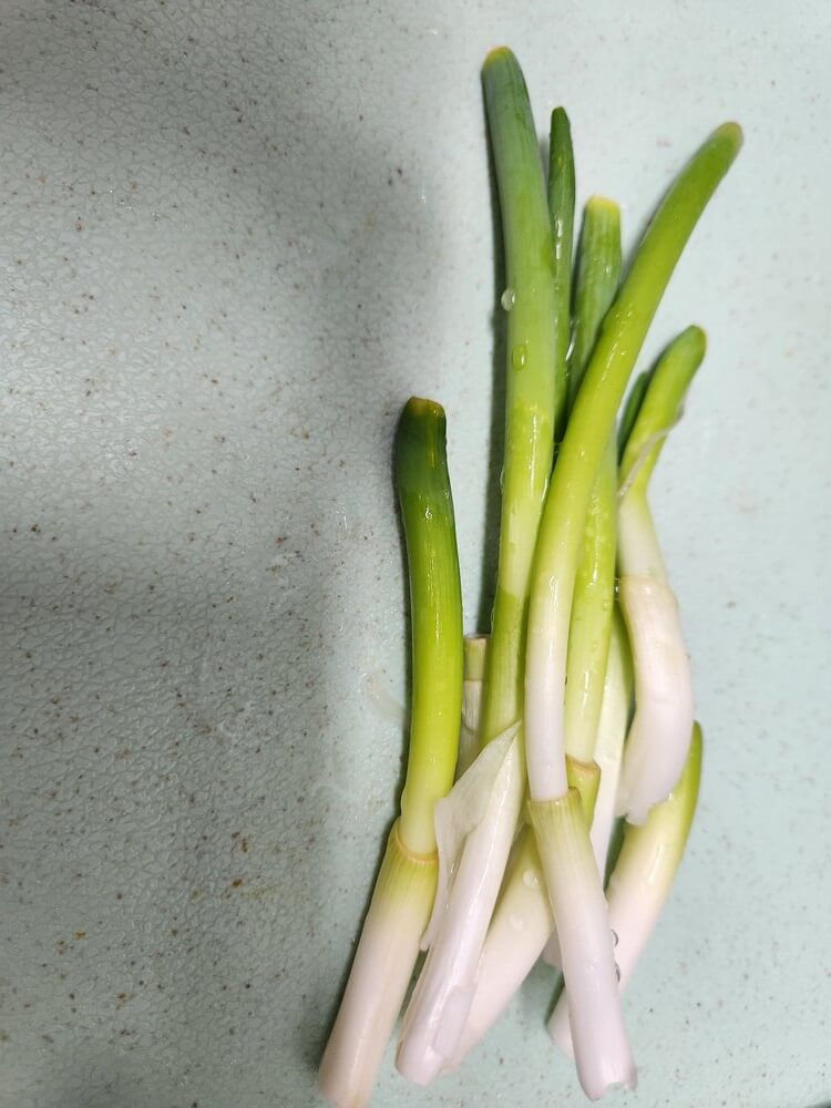 대파
