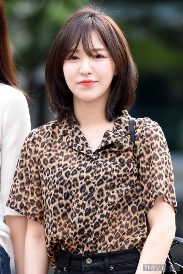 웬디 방송 활동